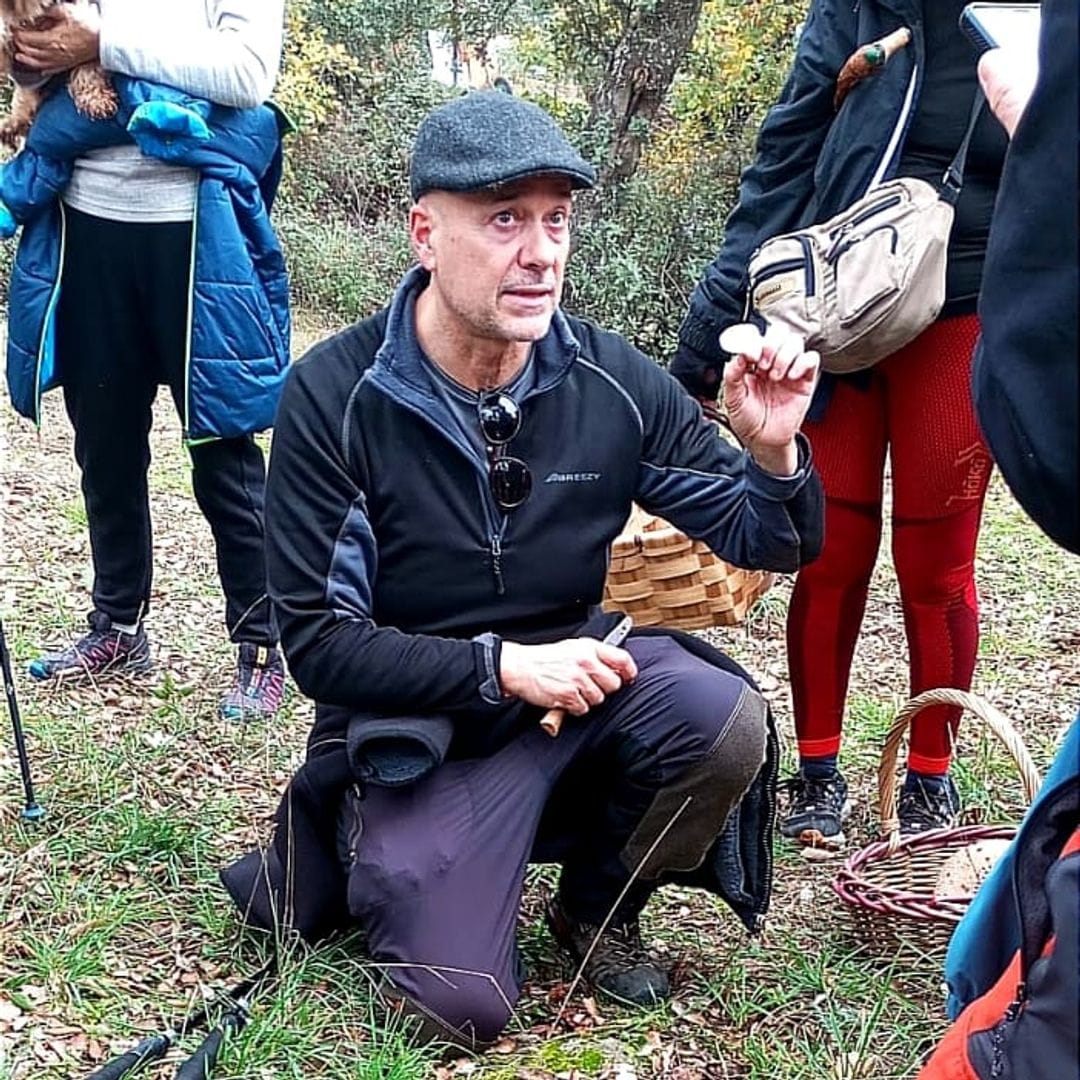 El experto Vicente Sevilla, sobre la seta más mortal del otoño: "Sus síntomas graves tienen una 'fase de mejoría aparente' que es engañosa"
