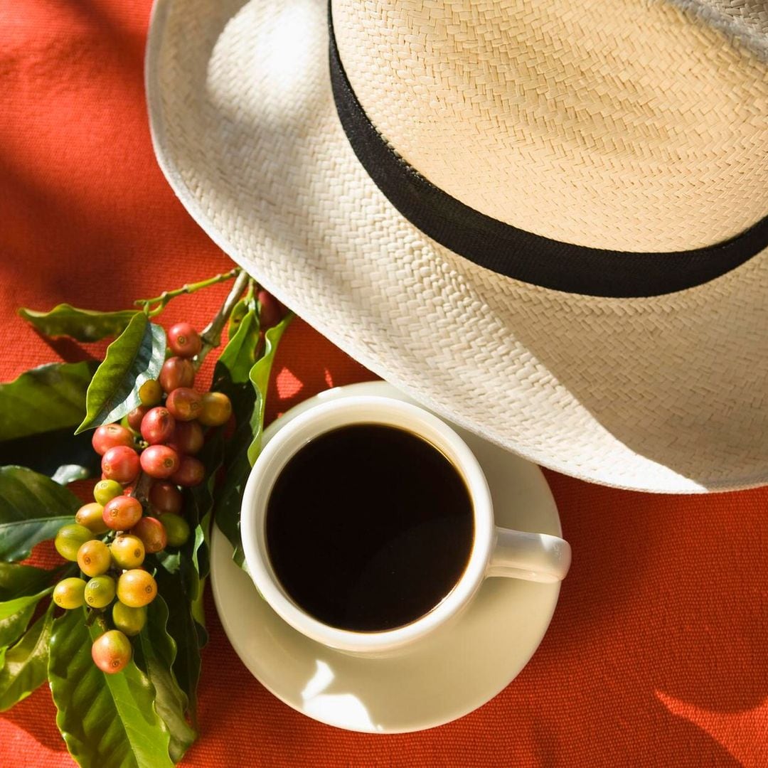 Conoce la Ruta del Café, en Colombia