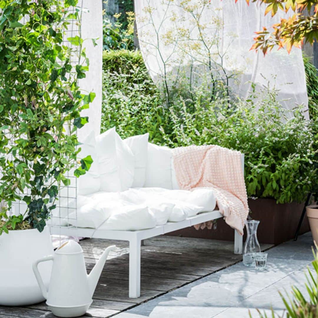 ¡Alerta sequía! Estas plantas de exterior tienen poca sed