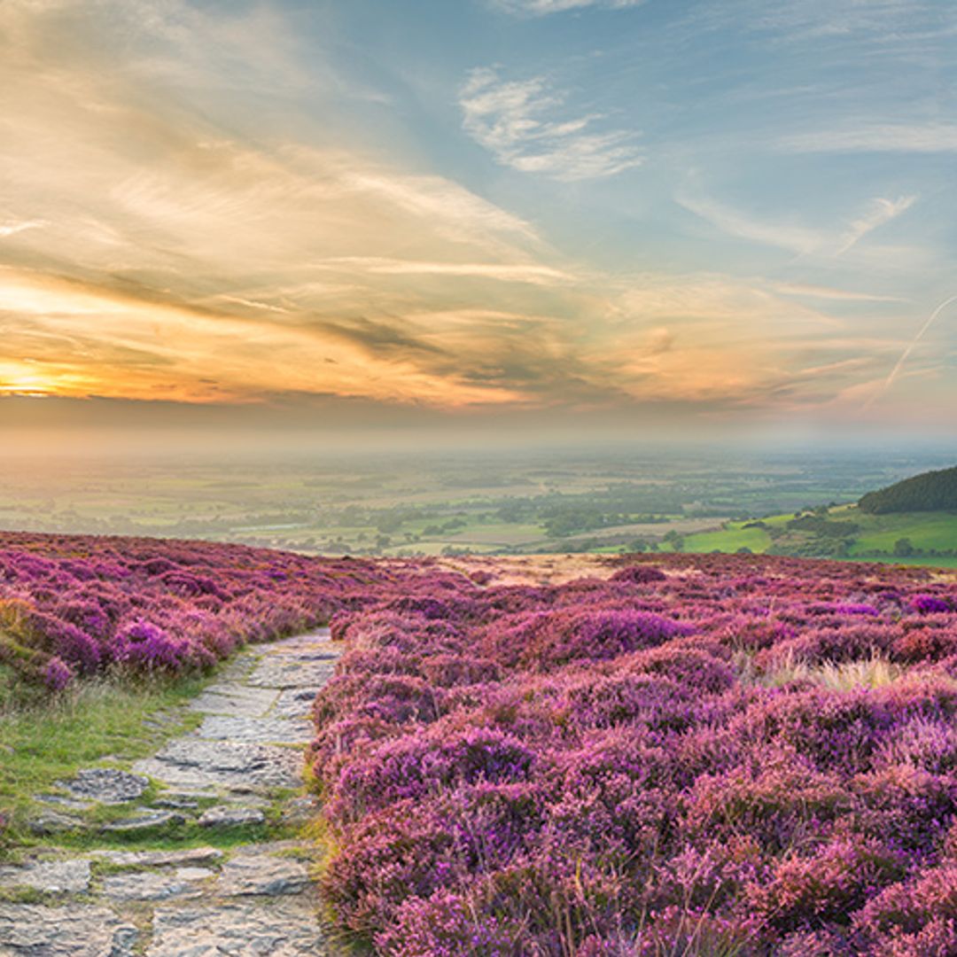 Yorkshire, en 10 imprescindibles, un condado inglés muy sorprendente 