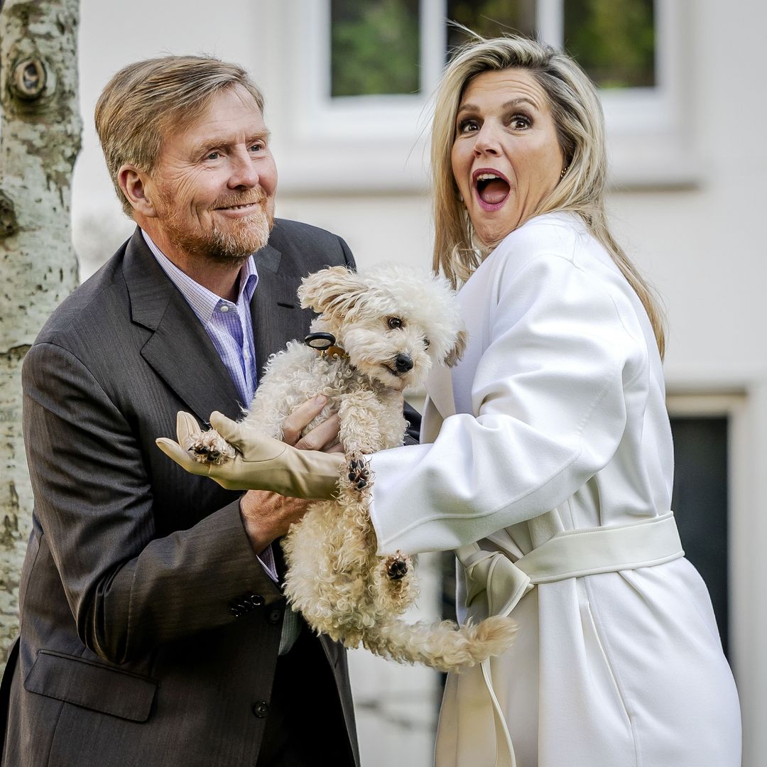 Sus 'pequeños monstruos' reales: Guillermo y Máxima de Holanda, diversión y desenfreno en el concierto de Lady Gaga en Ámsterdam