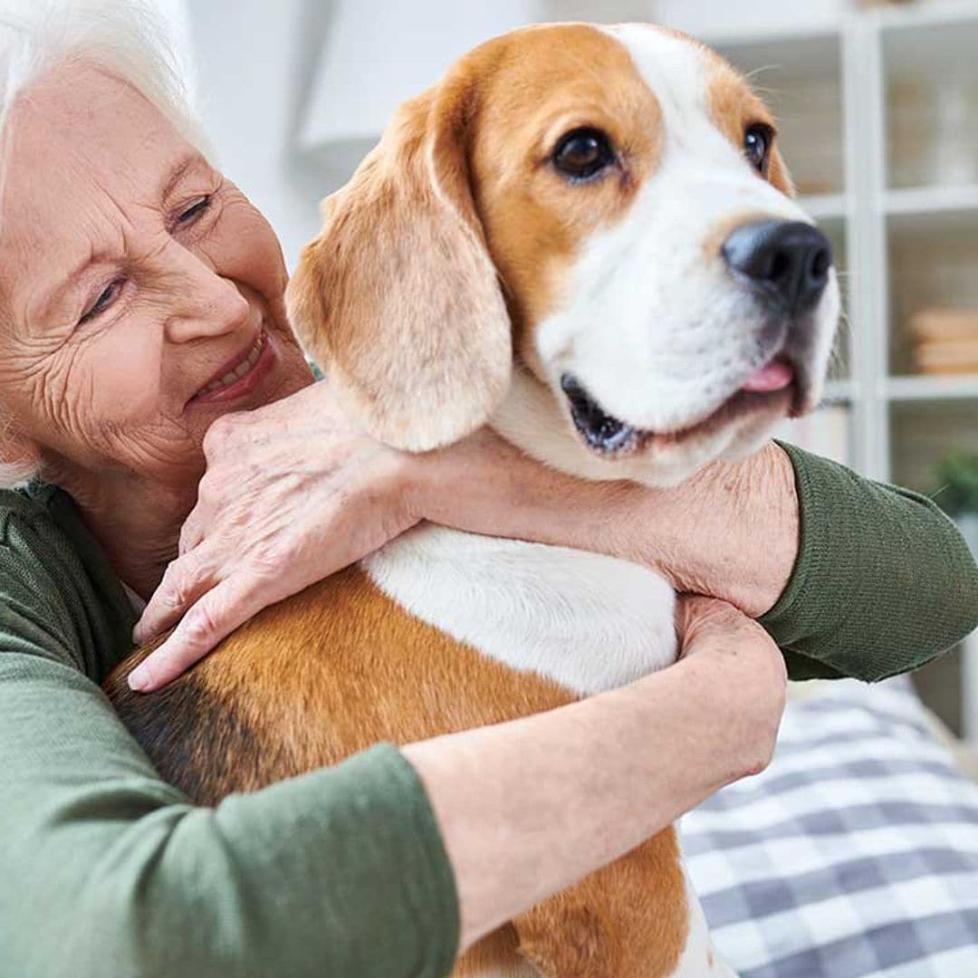 ¿Una mascota puede ser la solución a la soledad de los ancianos?