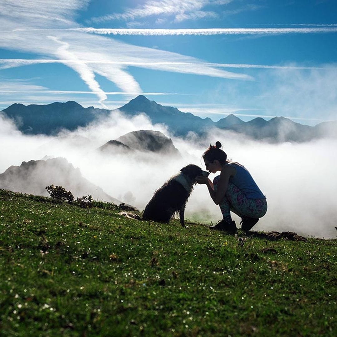 Planes para viajar con tu perro en 2023, uno para cada mes del año