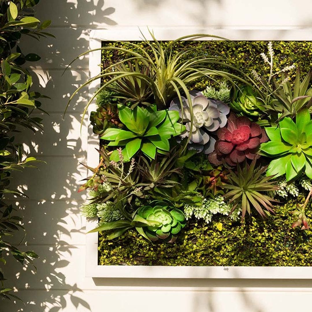 Aprende a construir un jardín vertical reciclando una ventana vieja