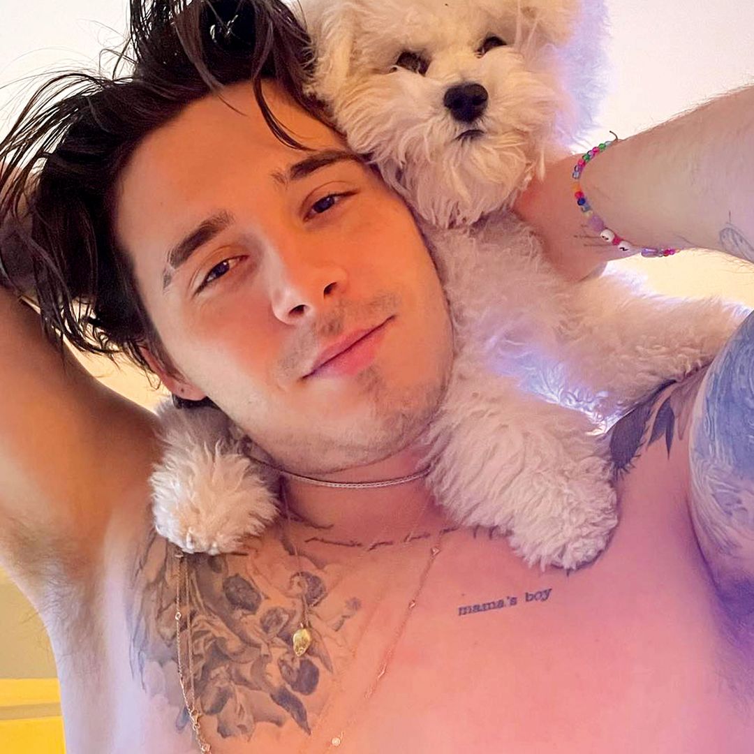 Brooklyn junto con su perro en una fotografía 