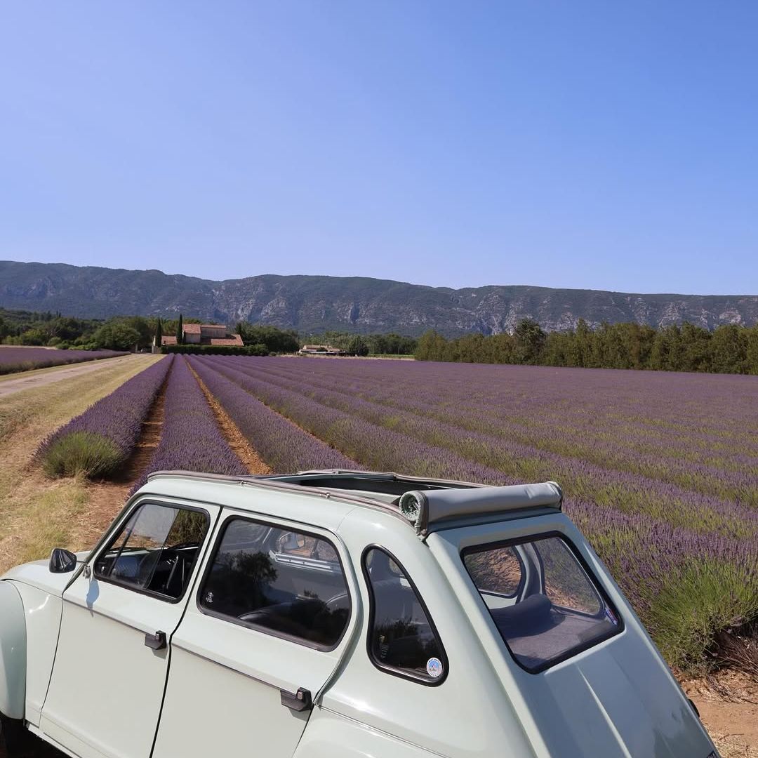 La escapada a La Provenza de Tamara Falcó e Iñigo Onieva para celebrar su aniversario