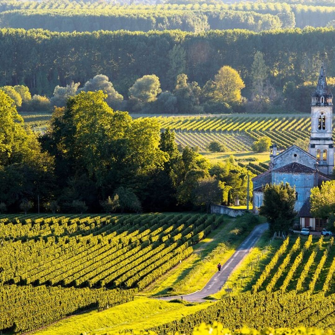 Francia: por los ‘châteaux’ más señoriales