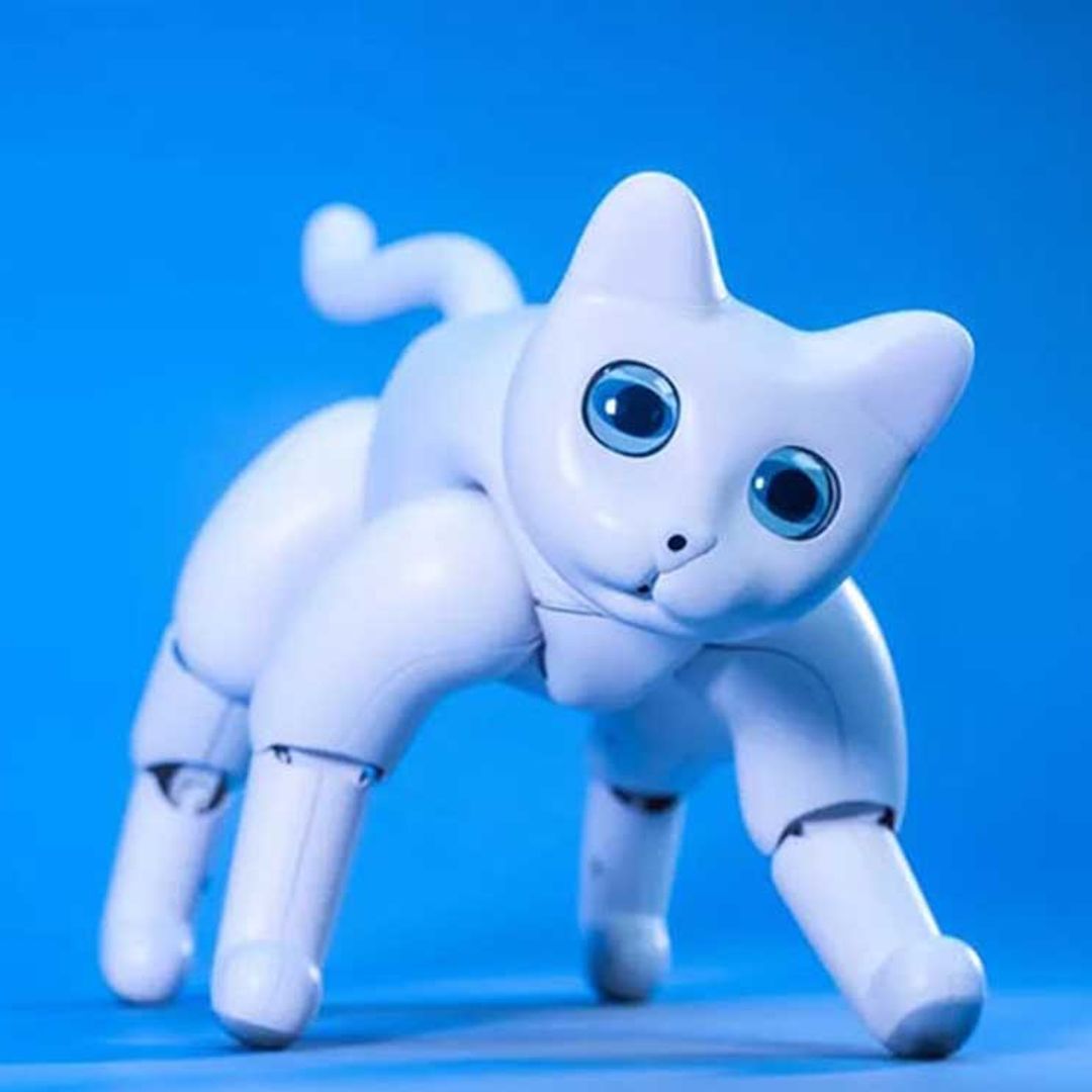 El gato robótico 'MarsCat', ¿la mascota del futuro?