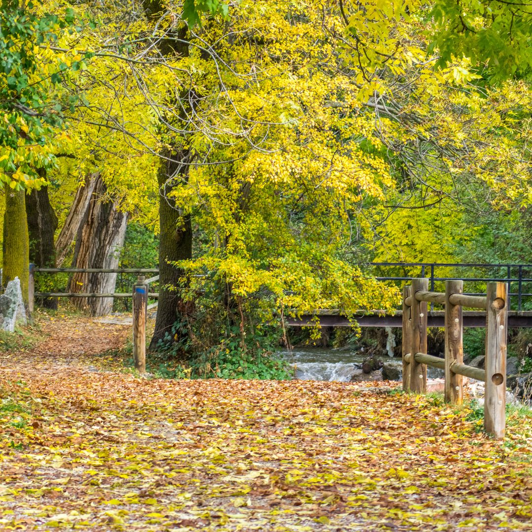 Entorno de Llivia, Girona