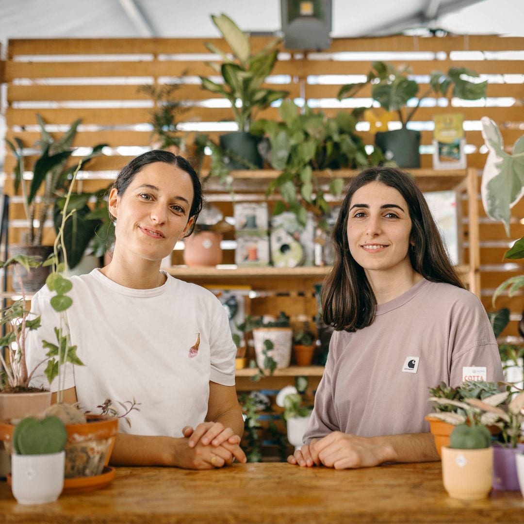 8 errores que matan tus plantas de interior (y cómo solucionarlos), según dos expertas