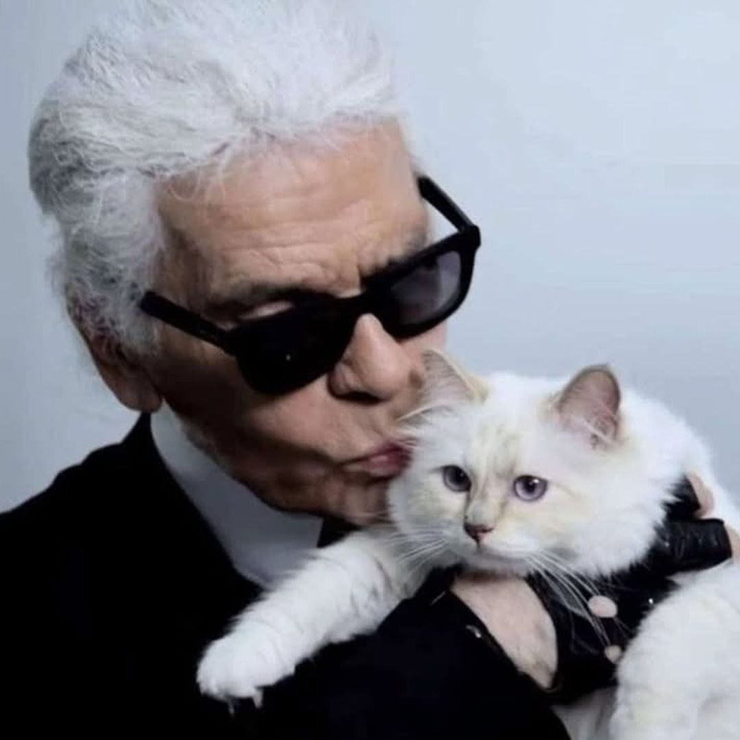Choupette, la icónica gata del diseñador Karl Lagerfeld, todavía no ha recibido ni un euro de los millones que heredó tras su muerte