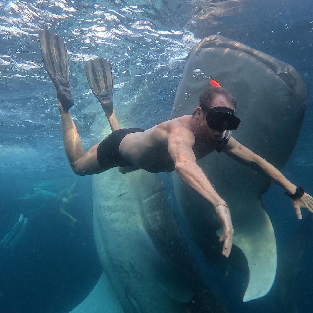 El vídeo de Pablo Motos que demuestra que no tiene miedo a nada: buceando entre tiburones ballena