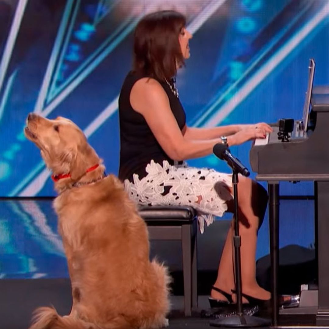 Oscar, el perro que sorprendió cantando en 'America’s Got Talent'