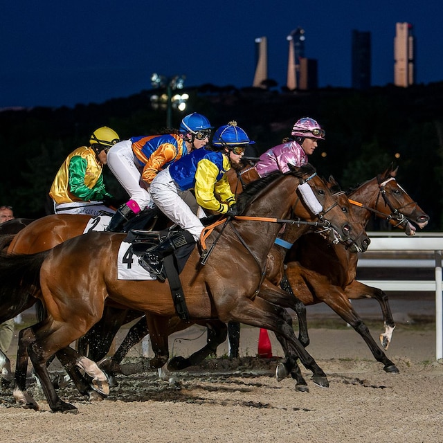 Pelotón con las cuatro torres de Madrid de fondo, carrera de caballos Hipódromo de la Zarzuela