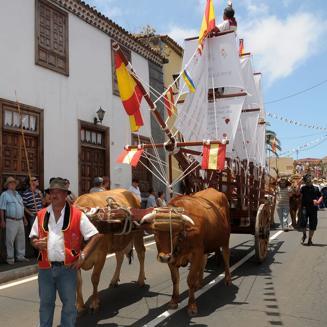 Carreta, con forma de barco de vela, en las calles de Tegueste durante la fiesta de la romería, Tenerife