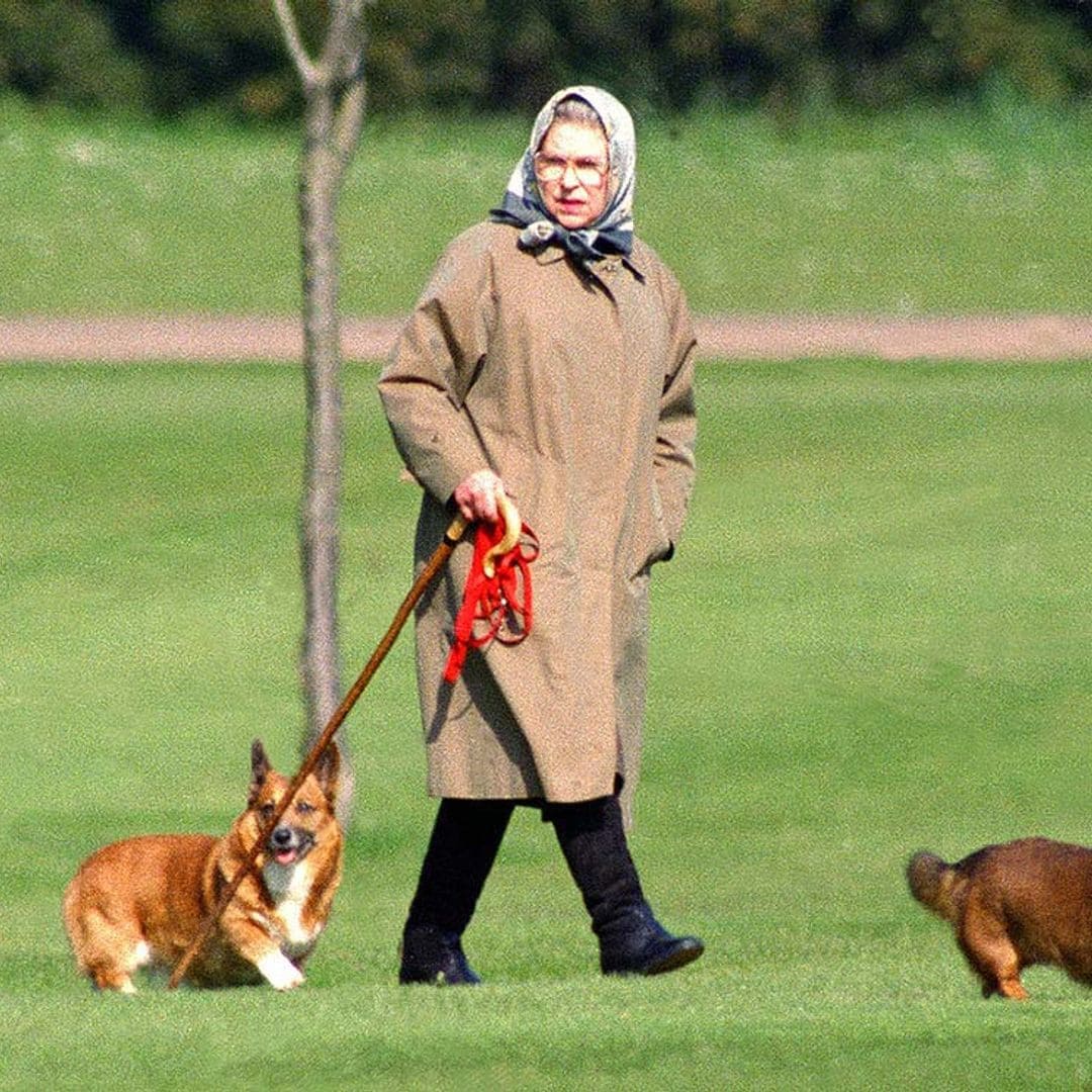 El último disgusto de Isabel II al fallecer Fergus, el cachorro que la acompañó en su soledad