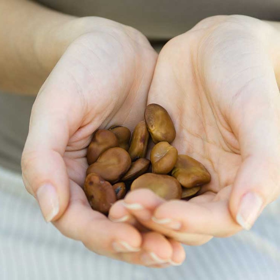 Nuevos retos para una alimentación saludable y sostenible