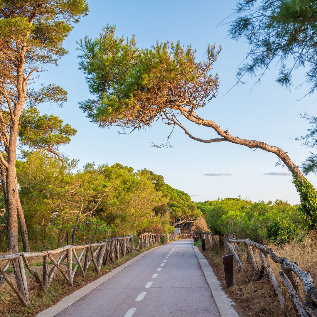Sendero costero de L'Escala a San Martí d'Empúries, Costa Brava, Girona