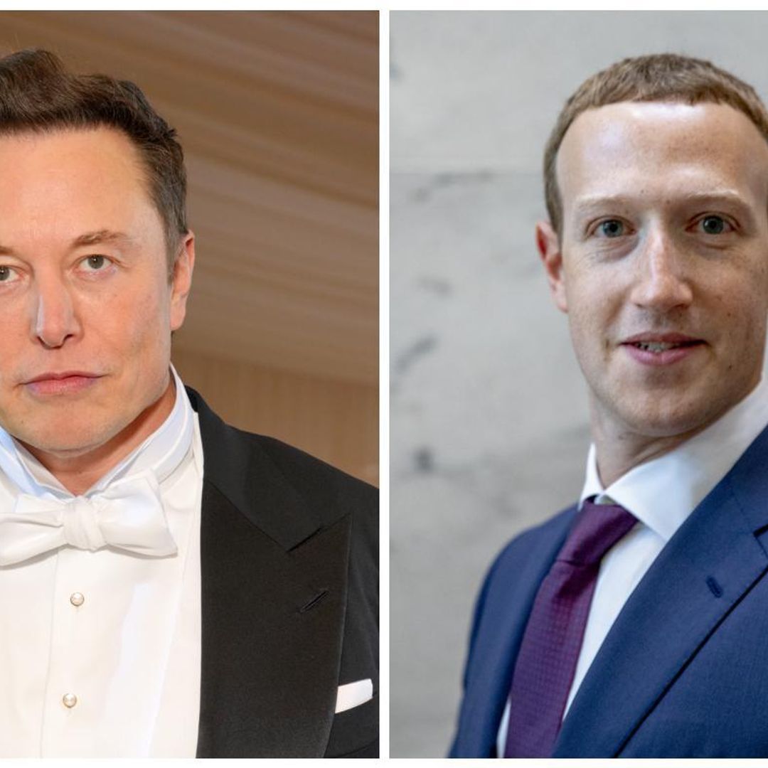 Elon Musk y Mark Zuckerberg, ¿se enfrentarán en un ring?