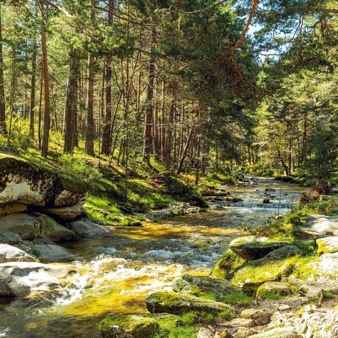 Río Valsaín, La Granja, Riofrío