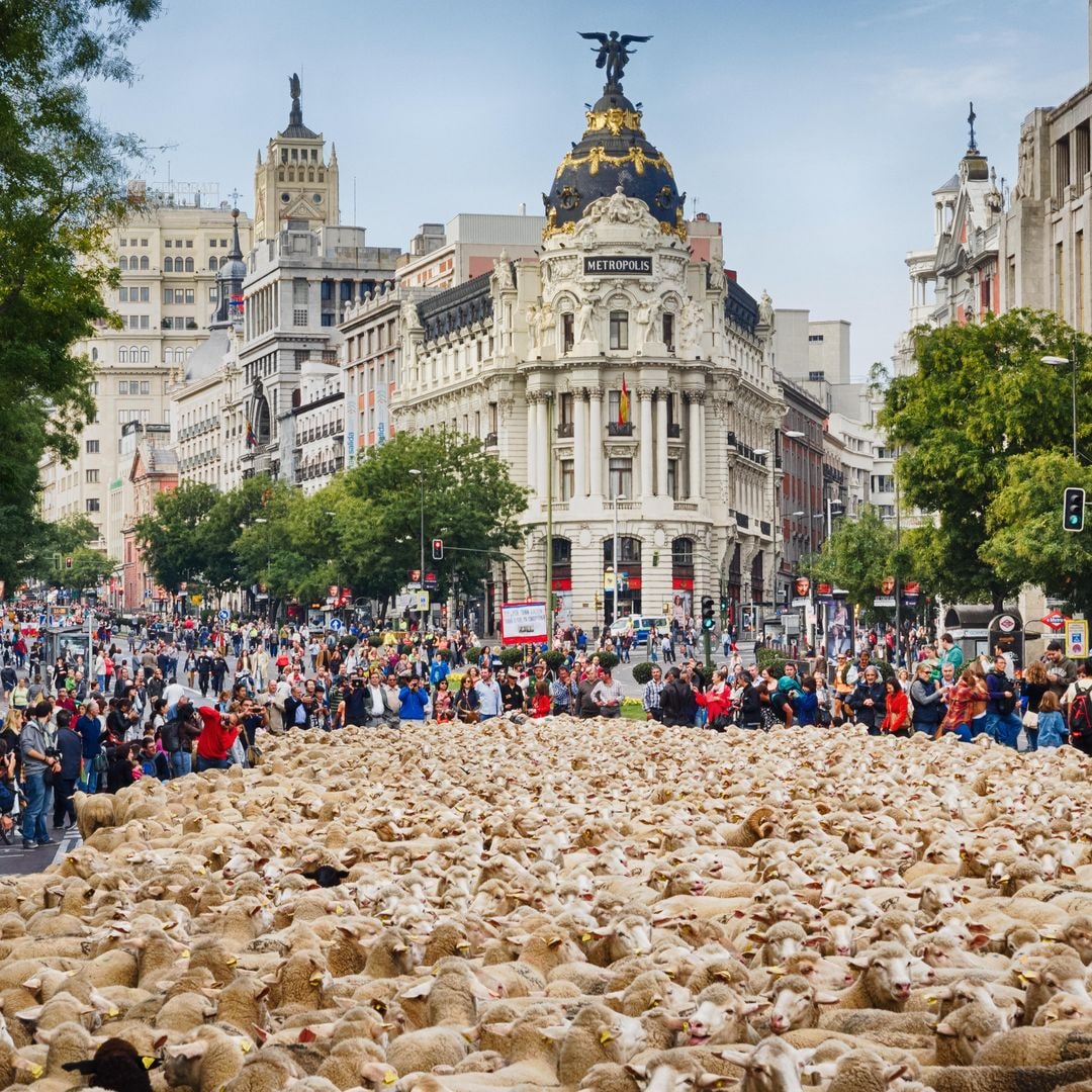 Toma nota, porque estos son los mejores planes para hacer en Madrid entre el 16 y el 19 de octubre