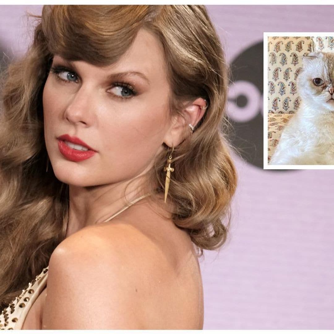 Así es Olivia Benson, la tercera mascota más rica del mundo y gatita de Taylor Swift