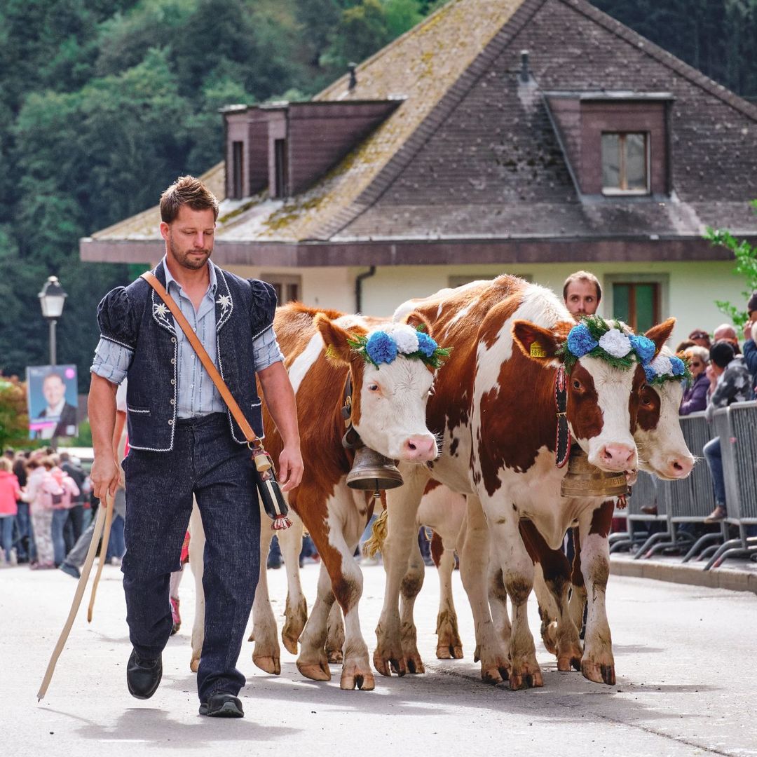El pueblo de los Alpes suizos donde cada septiembre las vacas desfilan coronadas de flores: una tradición que la Unesco protege desde 2023