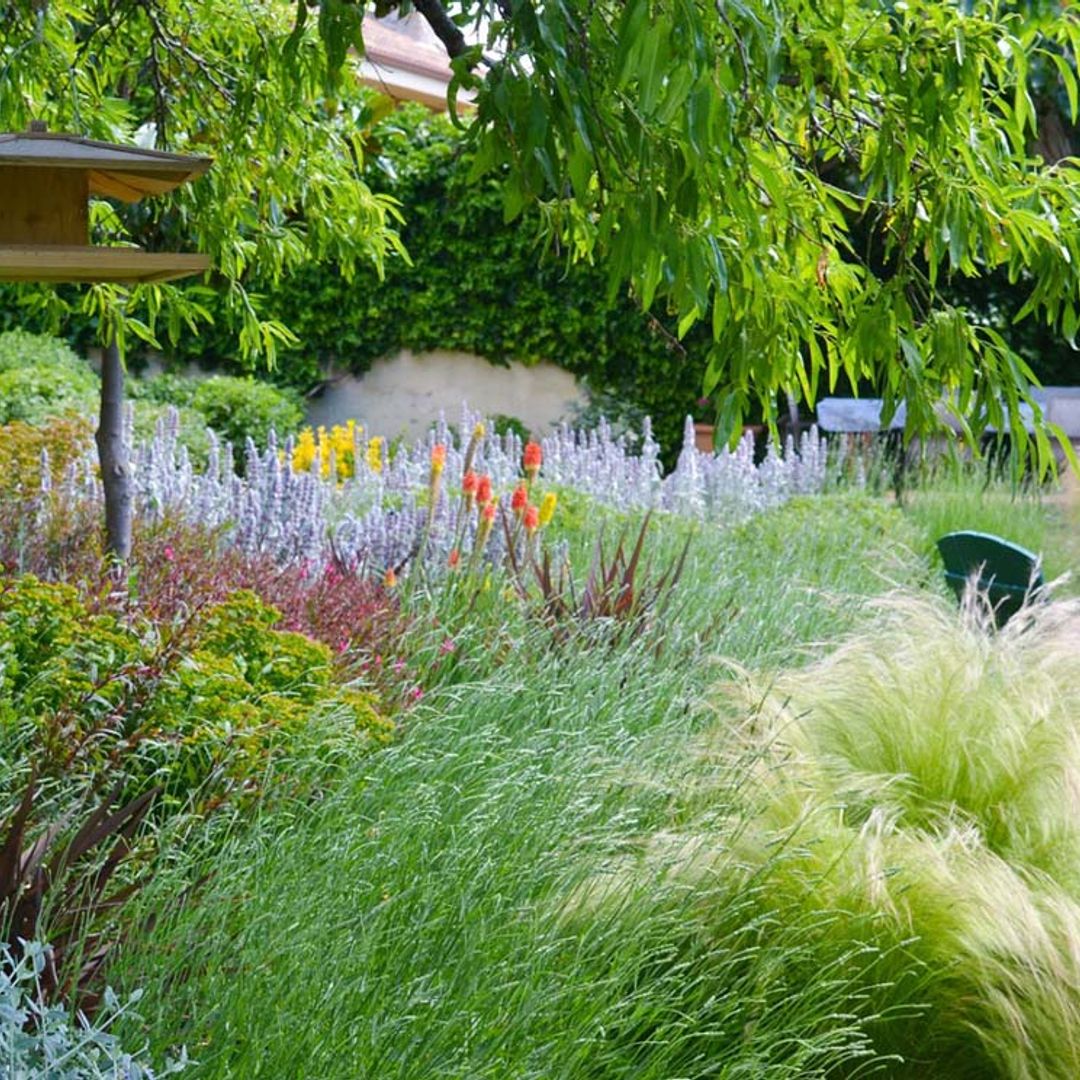 Cómo generar biodiversidad en tu jardín con plantas y otros recursos