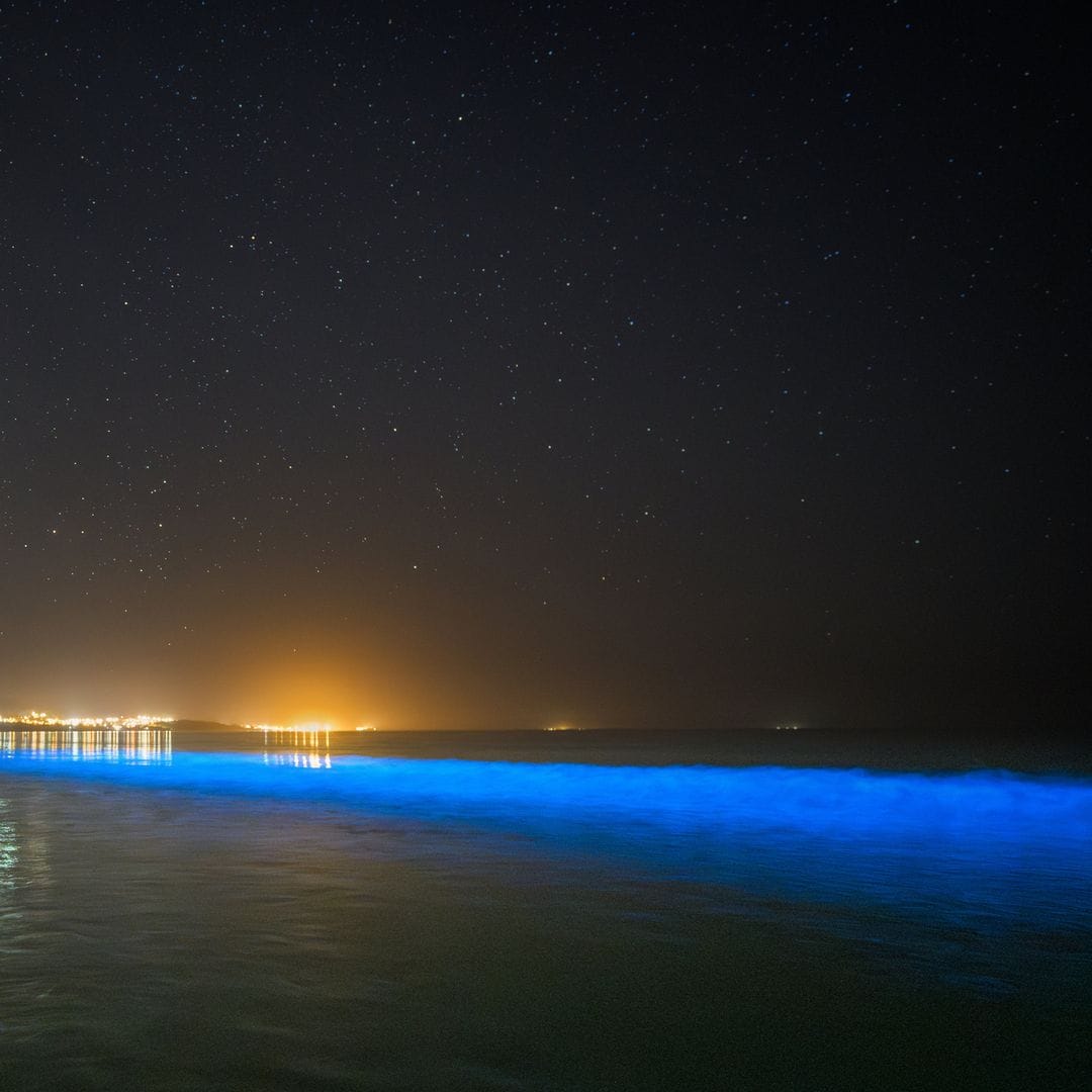 Playas españolas donde ver el increíble fenómeno de la bioluminiscencia: cuándo y dónde disfrutar del mar brillante