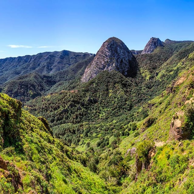 parque nacional de garajonay la gomera