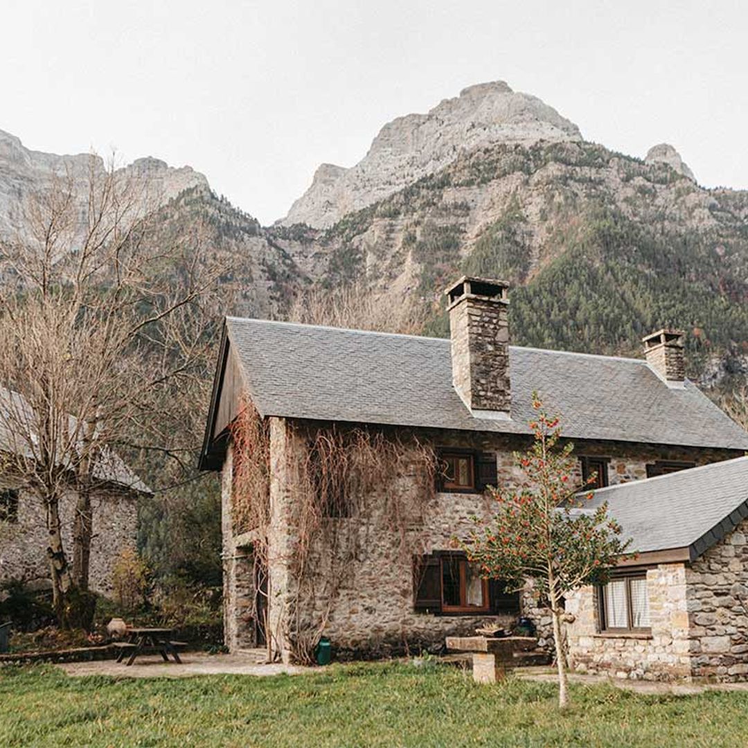 5 casas rurales para una escapada de fin de semana con tu perro