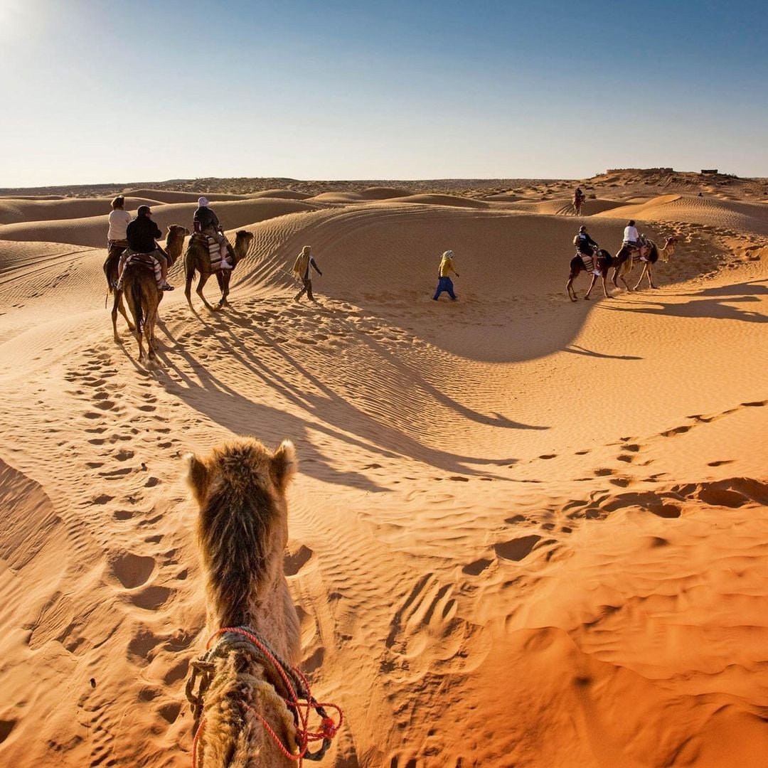 Tozeur: un oasis en medio del Sahara