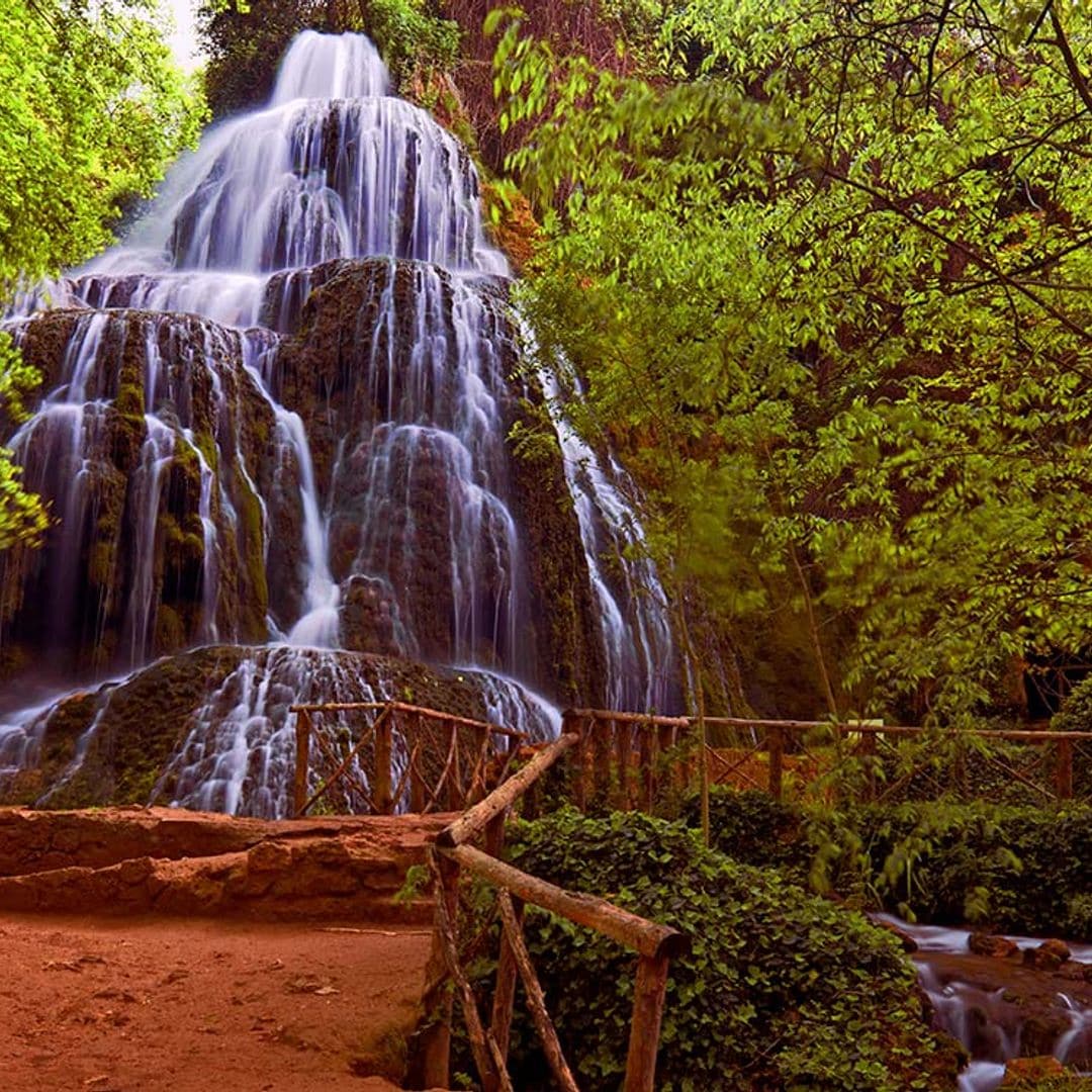 Bosques asombrosos para disfrutar de la naturaleza este otoño