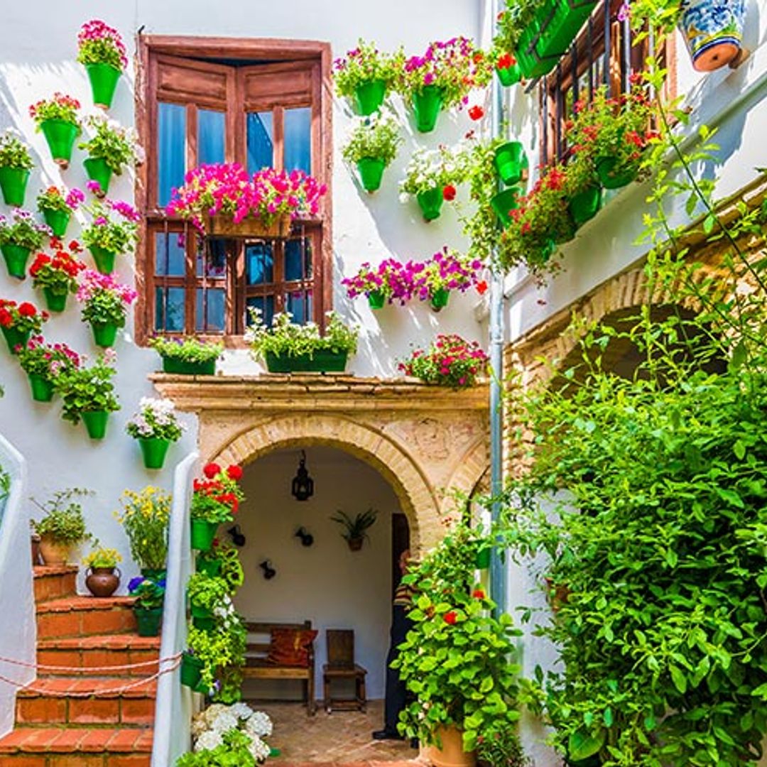 cordoba mayo