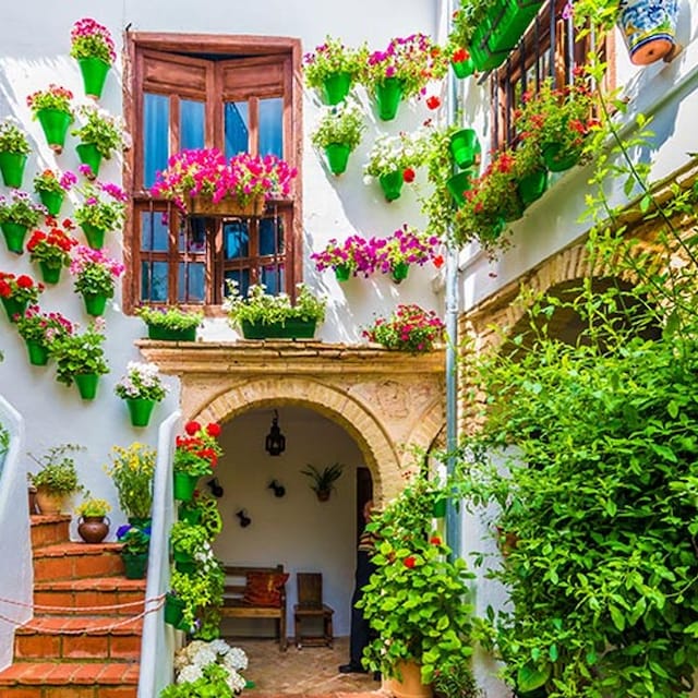 cordoba mayo