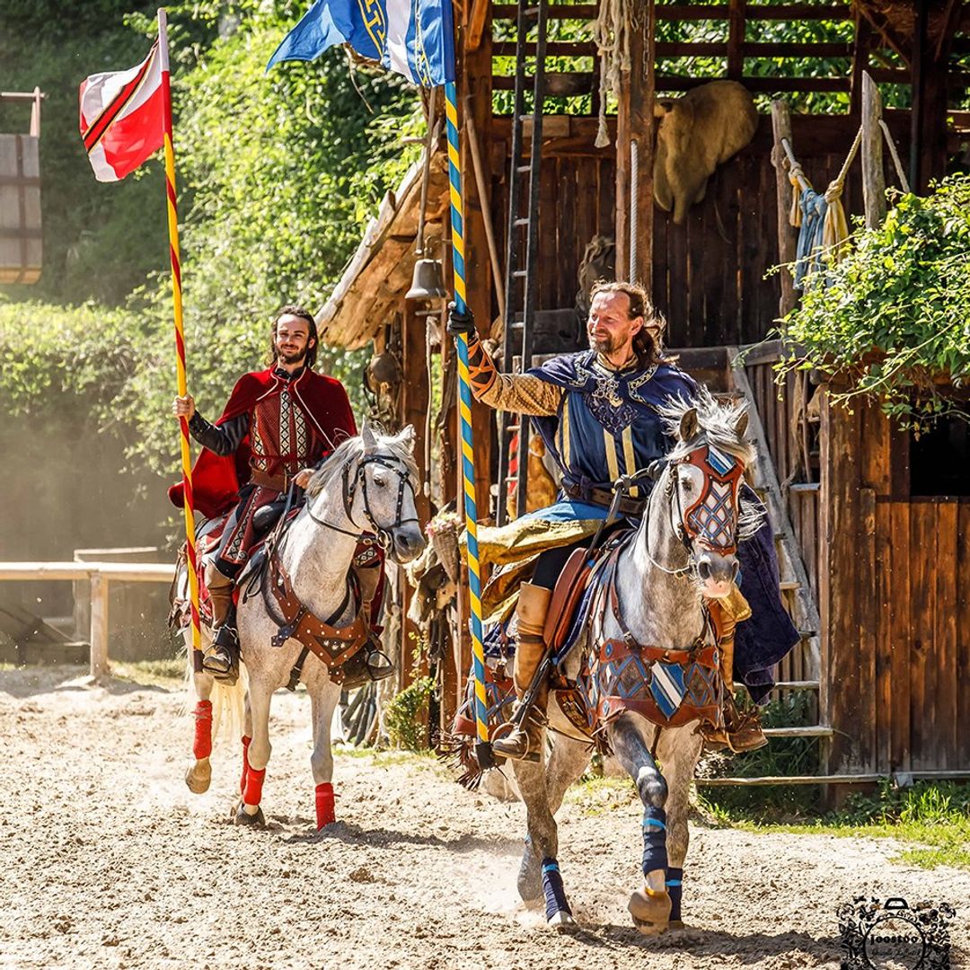 Fiesta medieval Provins, Francia