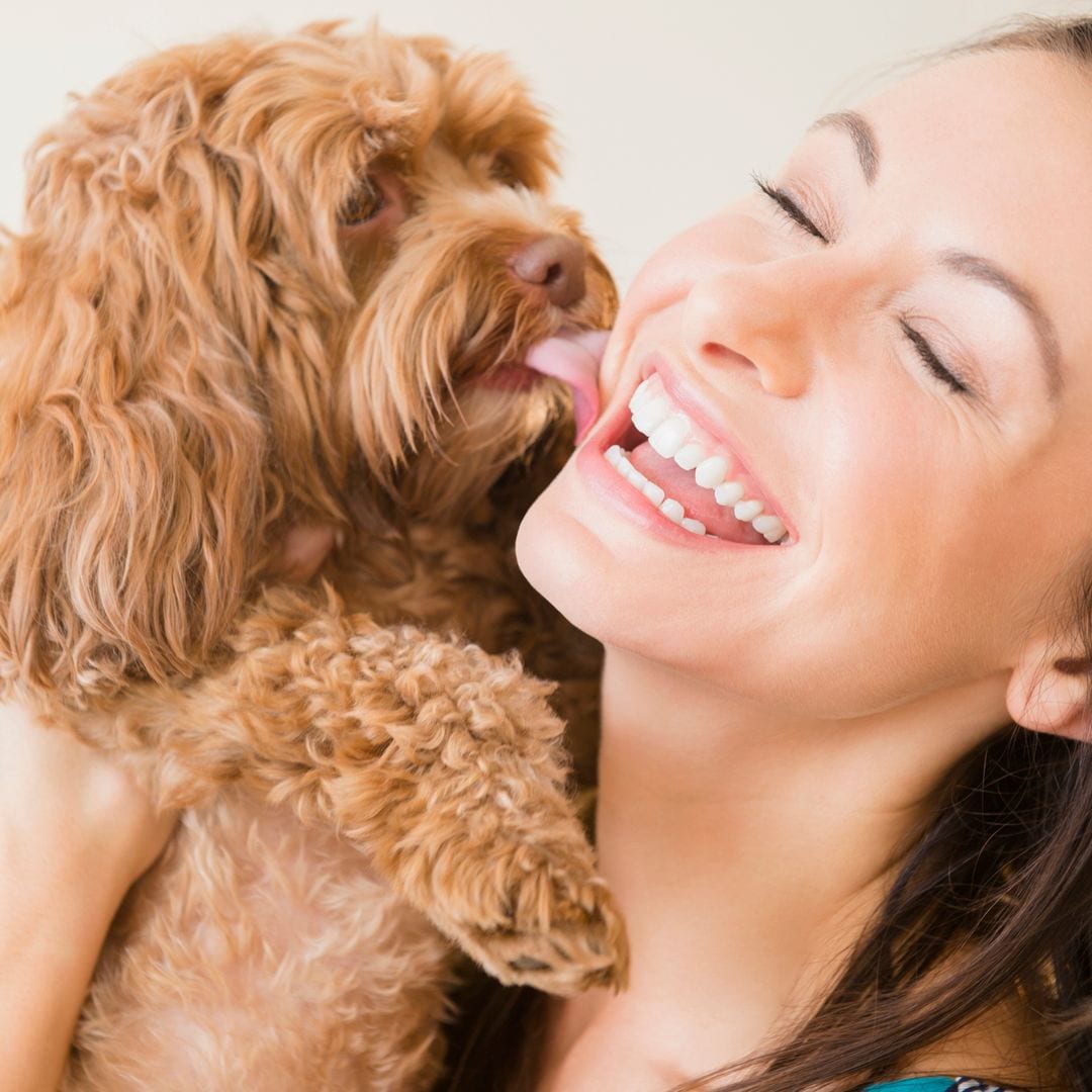Tu perro no te está "besando", te está pidiendo ayuda: lo que de verdad significa cuando te lame según una veterinaria