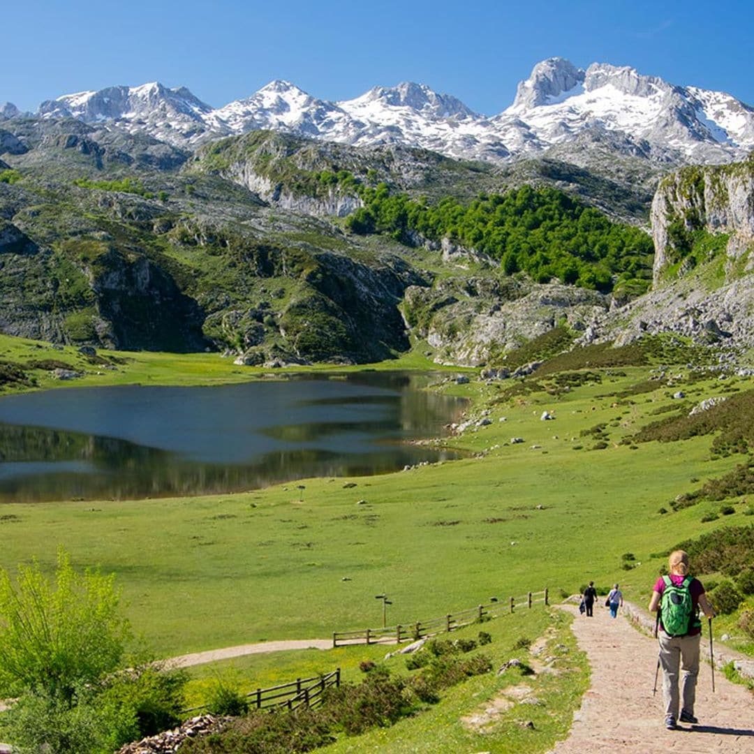 Diez rutas inolvidables (a pie o en coche) por los Picos de Europa