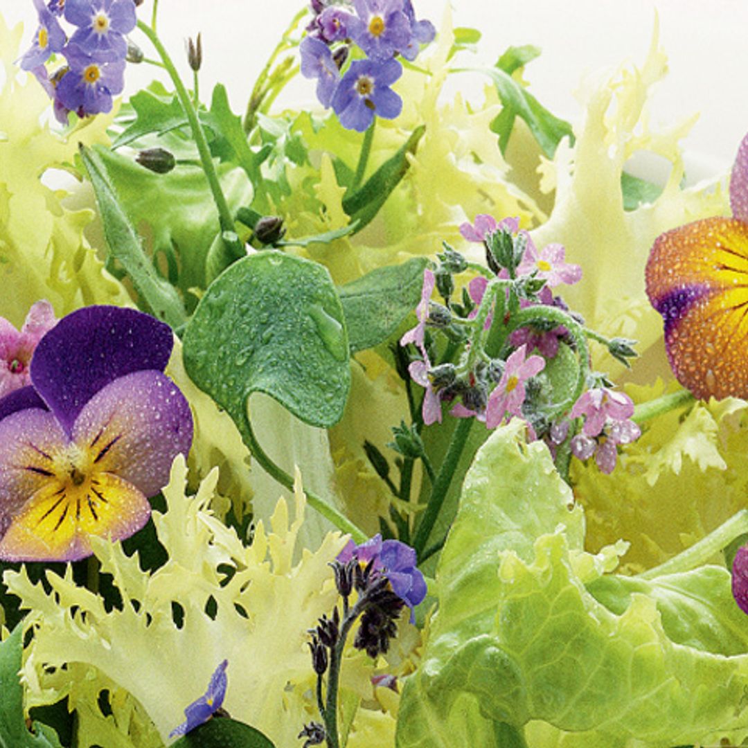 Ensalada de flores