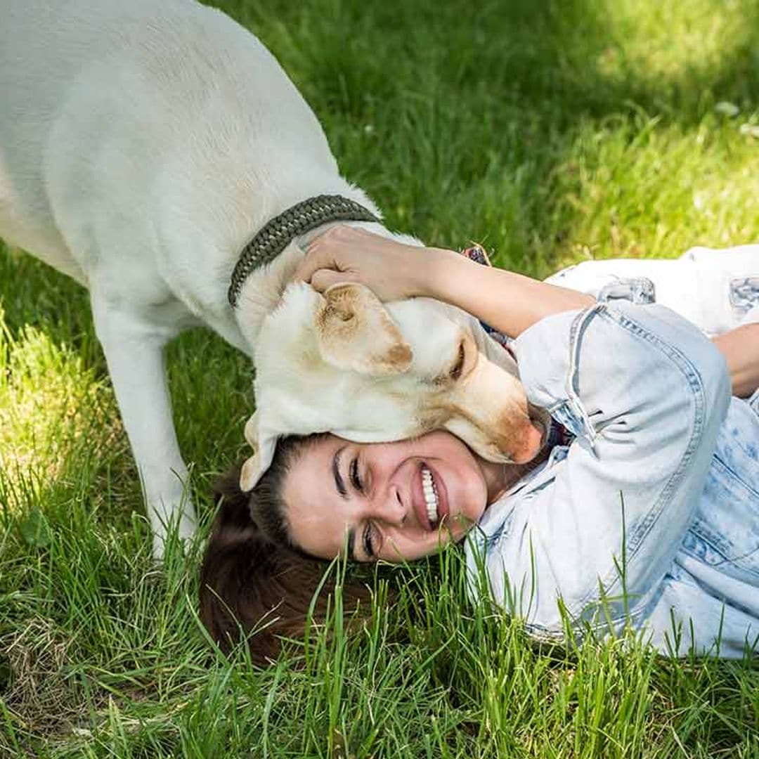 Cómo poner freno al hiperapego en perros