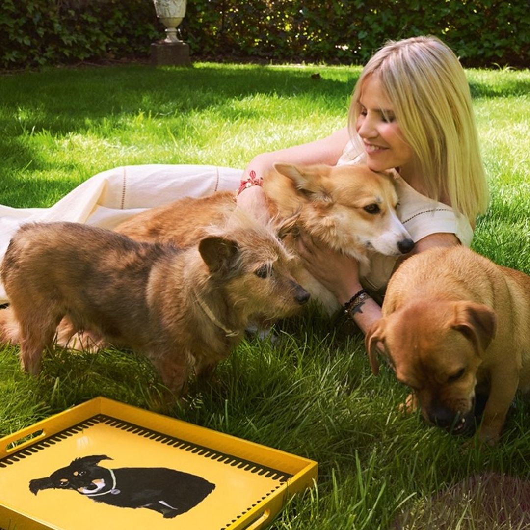 Eugenia Martínez de Irujo, la Brigitte Bardot de la aristocracia, adopta a Catalina, una burrita de 25 años