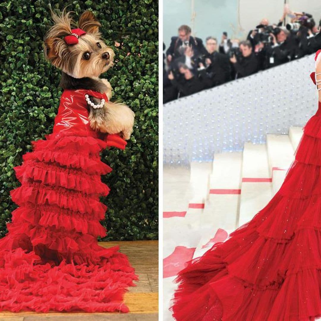 Los encantadores imitadores de Salma Hayek, Dua Lipa y Rihanna en una alfombra roja de ‘guau’