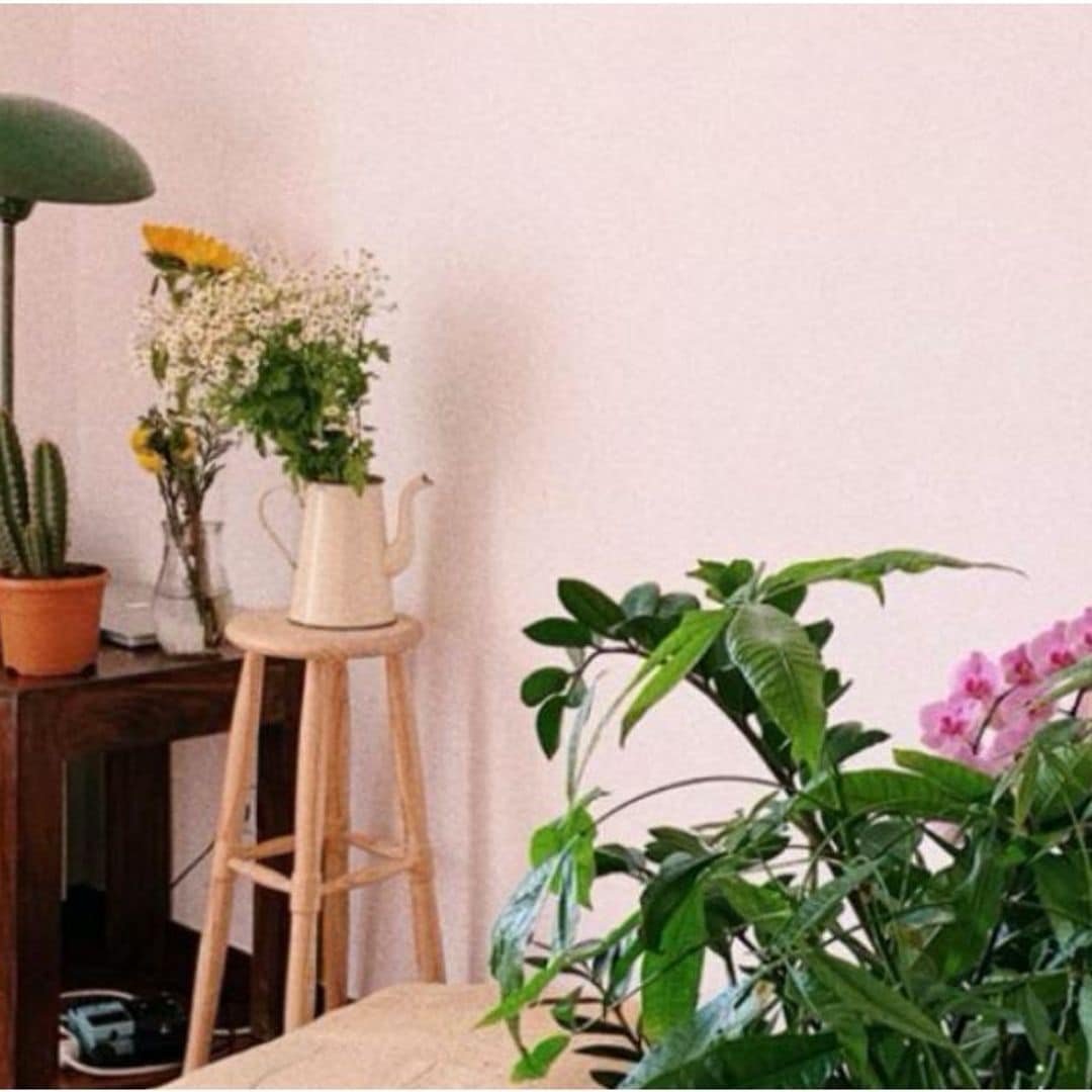 La casa de Anna Castillo en Madrid, un piso con estilo