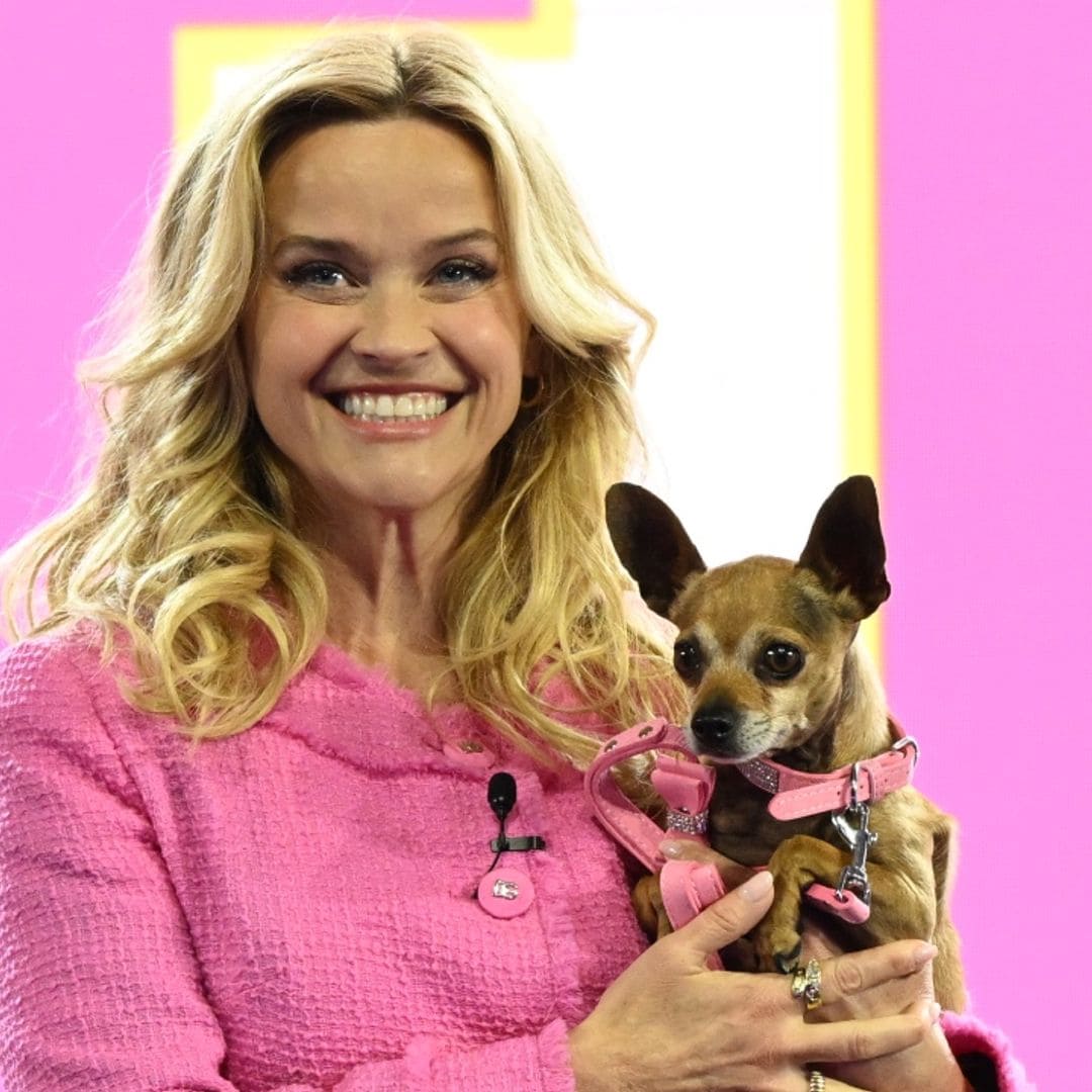 Reese Witherspoon vuelve a ser 'una rubia muy legal': así ha cambiado su vida 21 años después