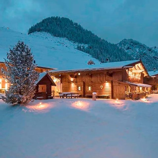 chalet alpbach 1