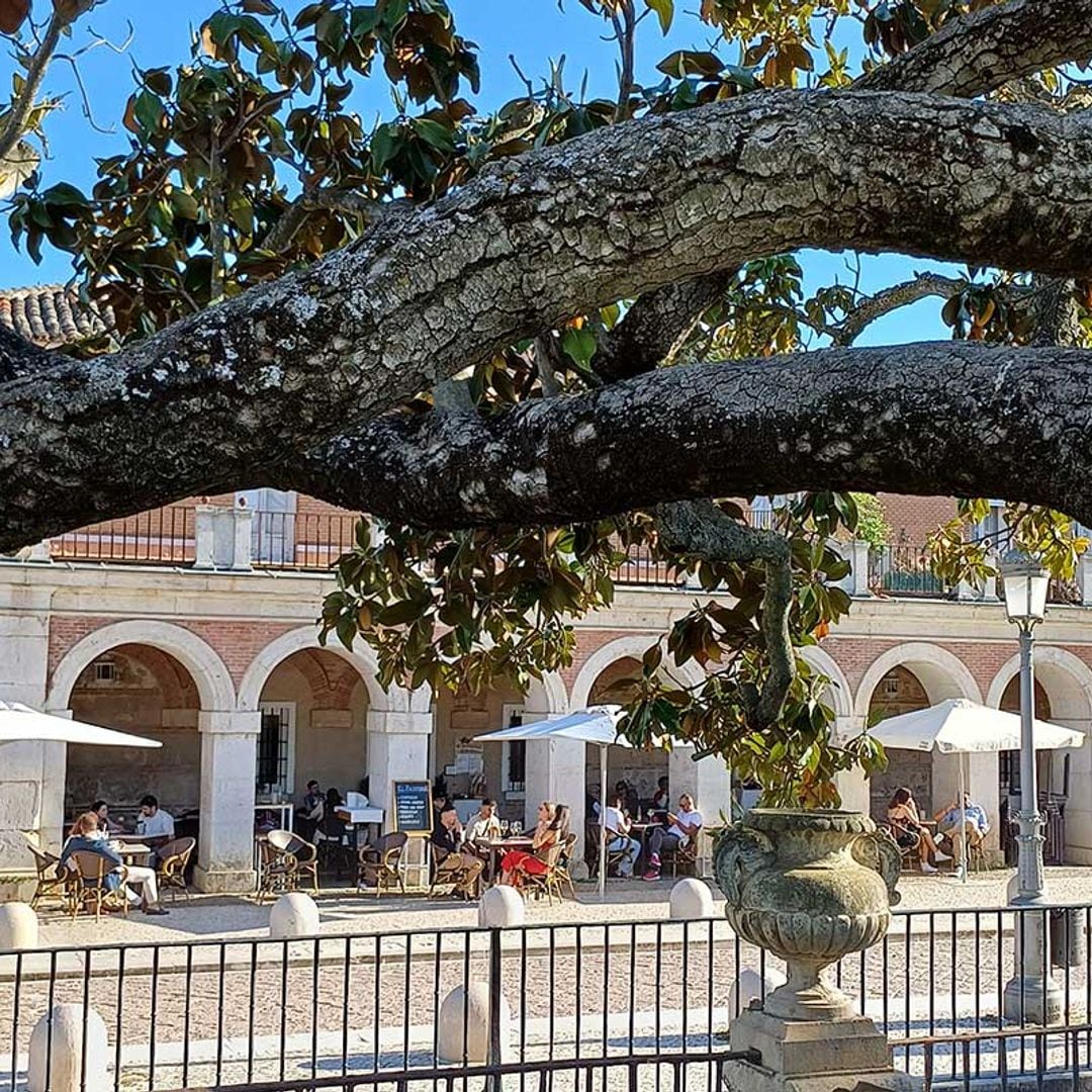 aranjuez 20240518191653