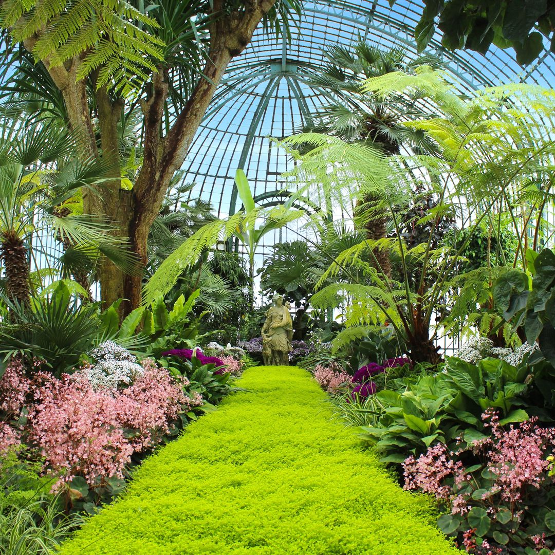 Invernaderos Reales de Laeken, Bélgica