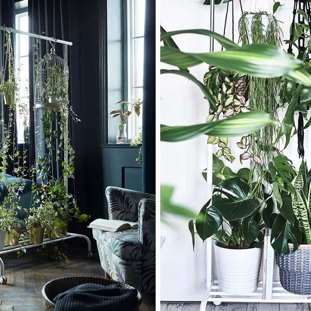 Construye un separador de ambientes y expositor de plantas, todo en uno