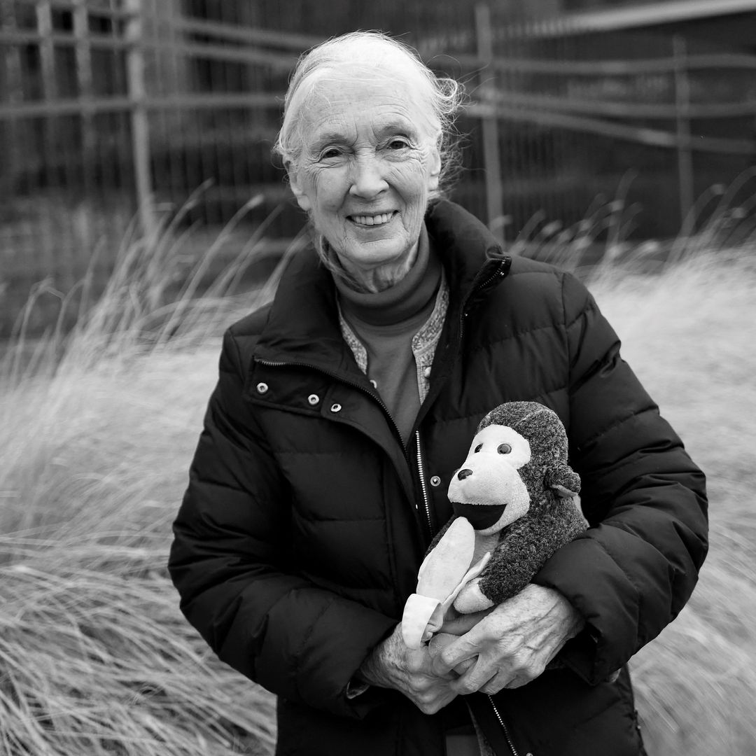 Muere Jane Goodall, experta en chimpancés y activista de los derechos de los animales, a los 91 años
