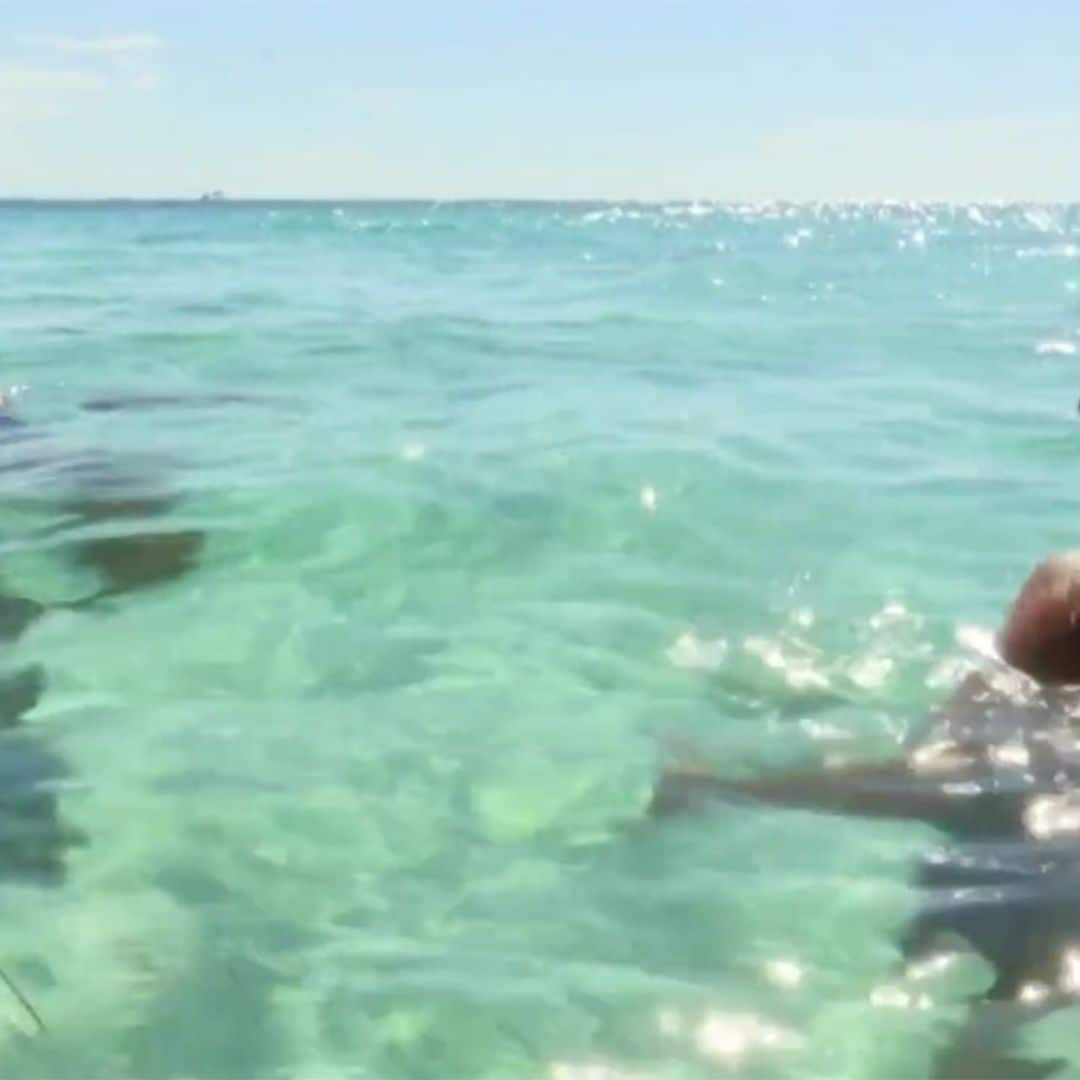 Omar Montes, nuevo aliado de Isabel Pantoja en 'Supervivientes'